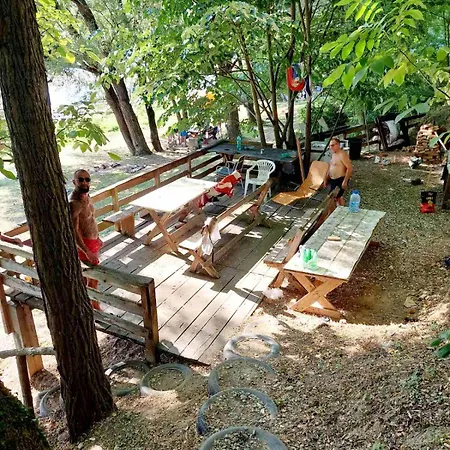 Ploce באינה באשטה